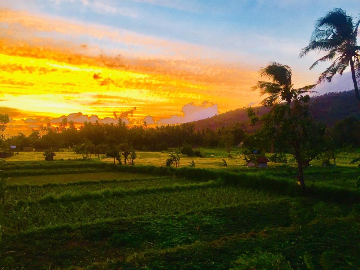 D'Uma Amed Homestay Esterno foto
