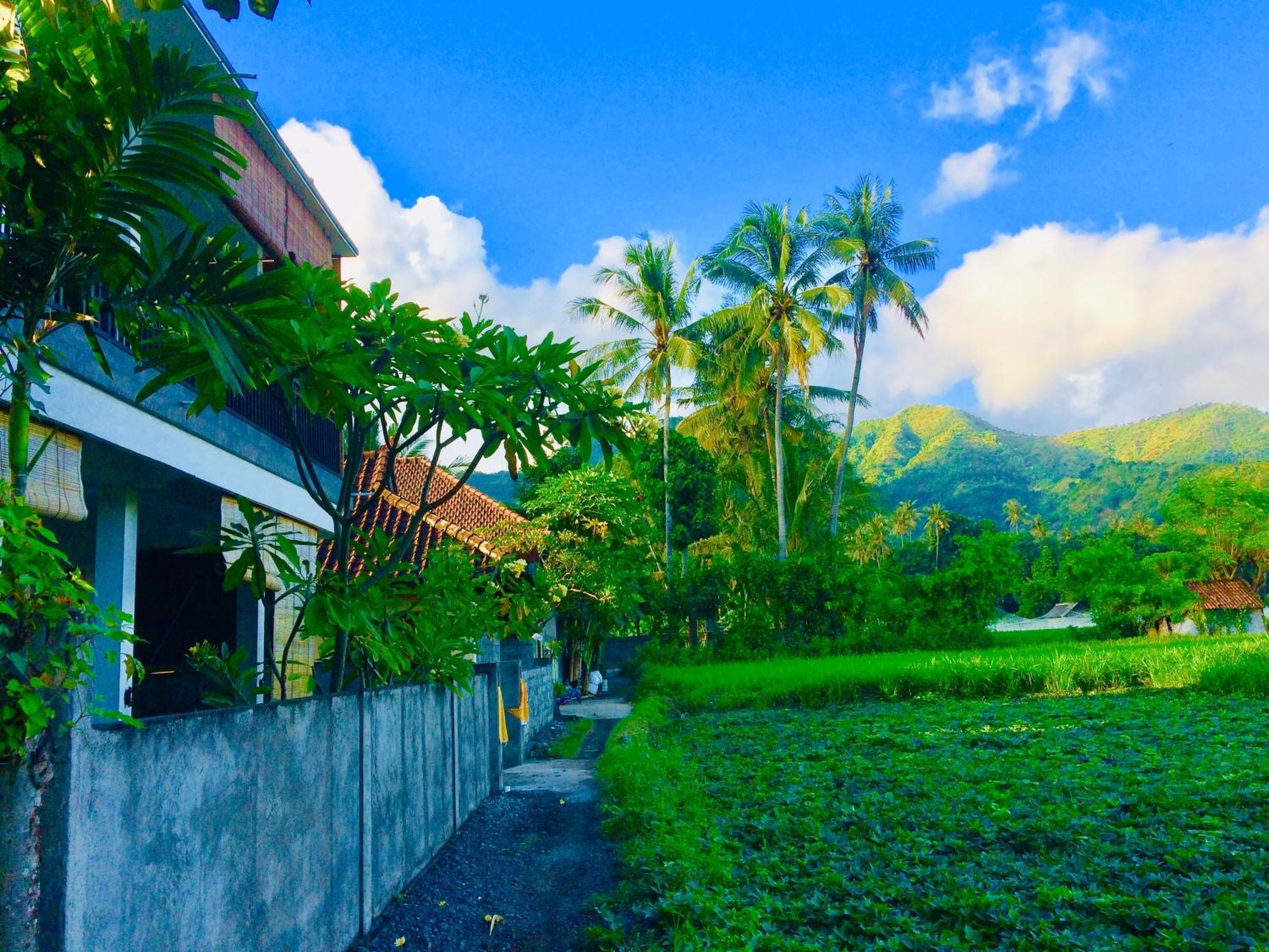 D'Uma Amed Homestay Esterno foto