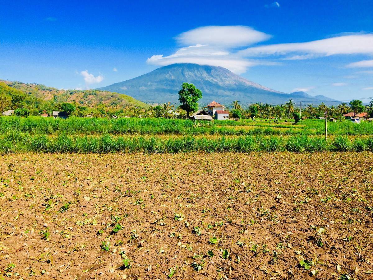 D'Uma Amed Homestay Esterno foto
