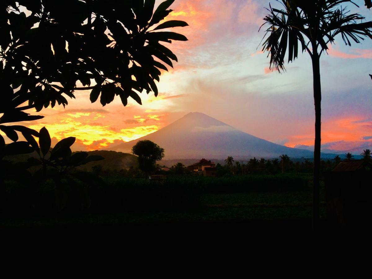 D'Uma Amed Homestay Esterno foto