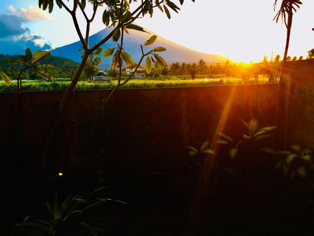 D'Uma Amed Homestay Esterno foto