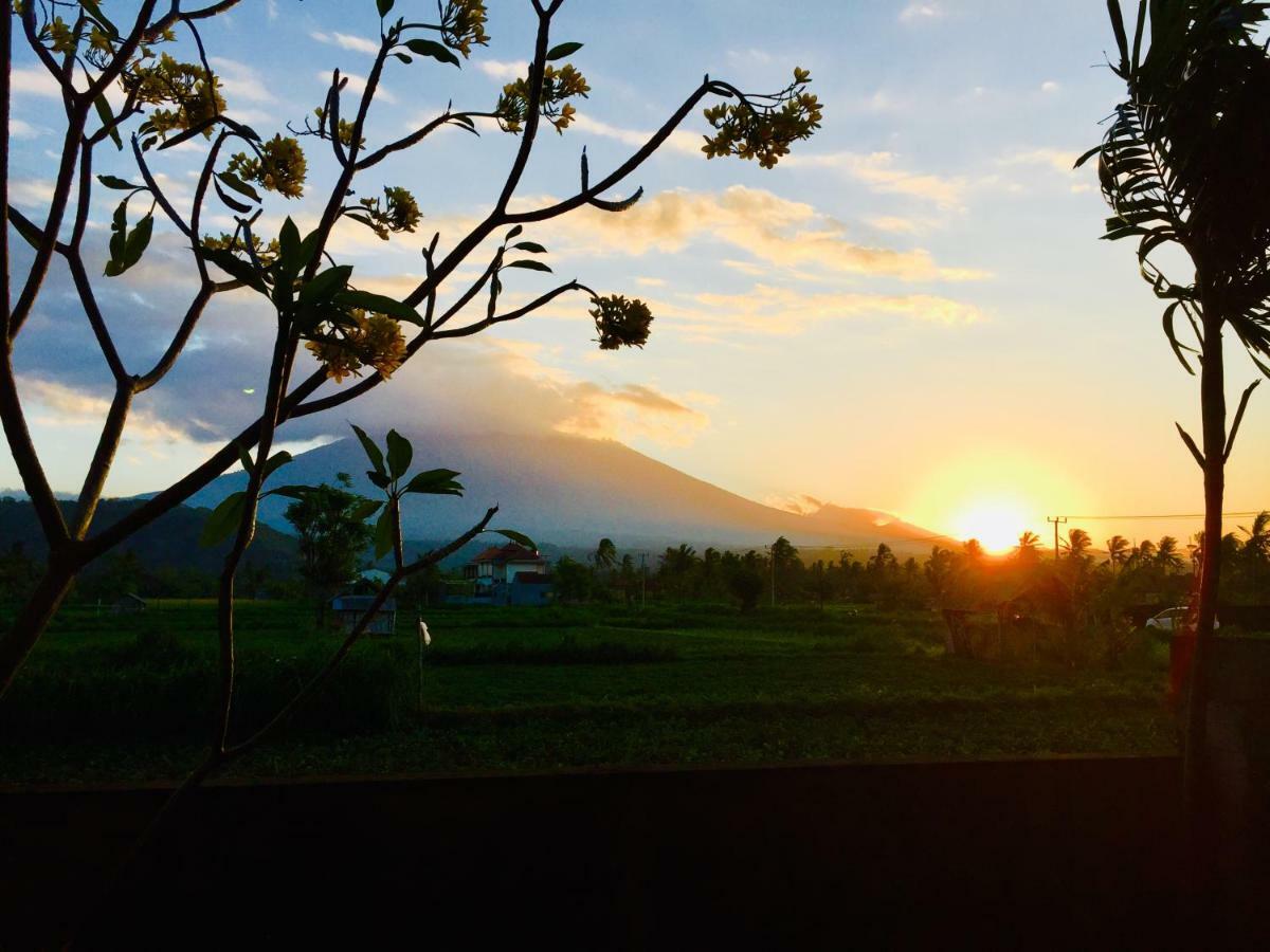 D'Uma Amed Homestay Esterno foto
